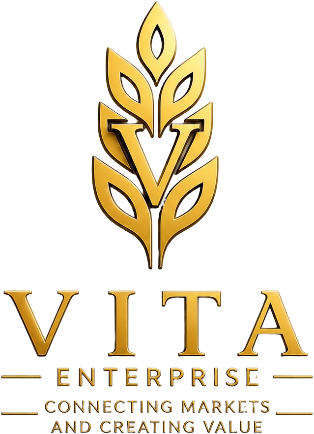 Vita Enterprise — Connecting Markets and Creating Value